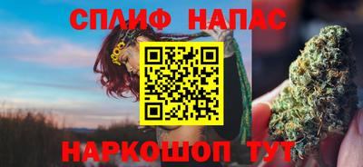 индика Новокубанск