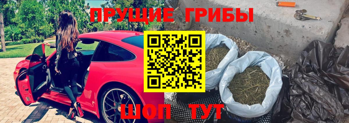 купить наркотик  Галлюциногенные грибы Magic Shrooms  Вход с VPN  Псилоцибиновые грибы ЛСД  Стрежевой 